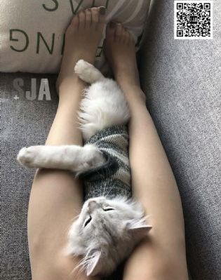 女子高生痴汉电车中出_DVD免费观看视频